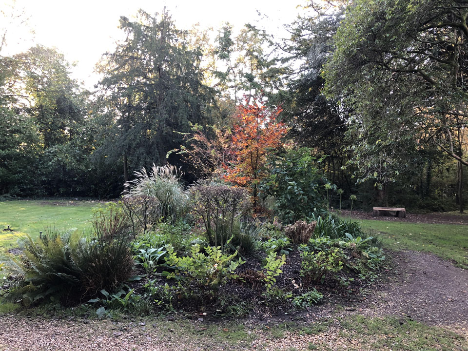 winter-is-upon-us-at-ngs-garden-ferns-lodge-1-main